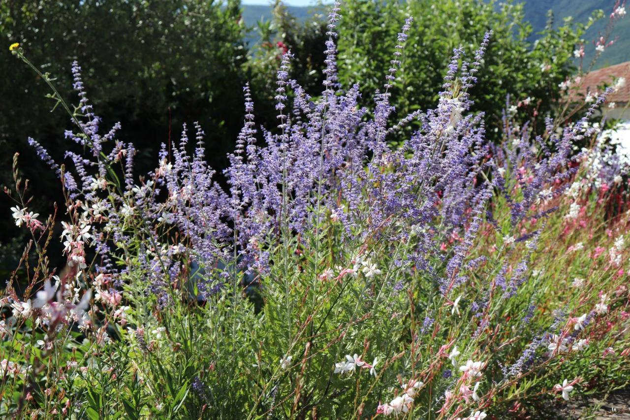 D'hotes Du Capimont Bed & Breakfast